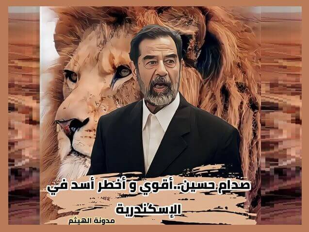 الأسد صدام - الأسد صدام حسين