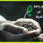مقولات عن الحياة - مقولات عن الحياة