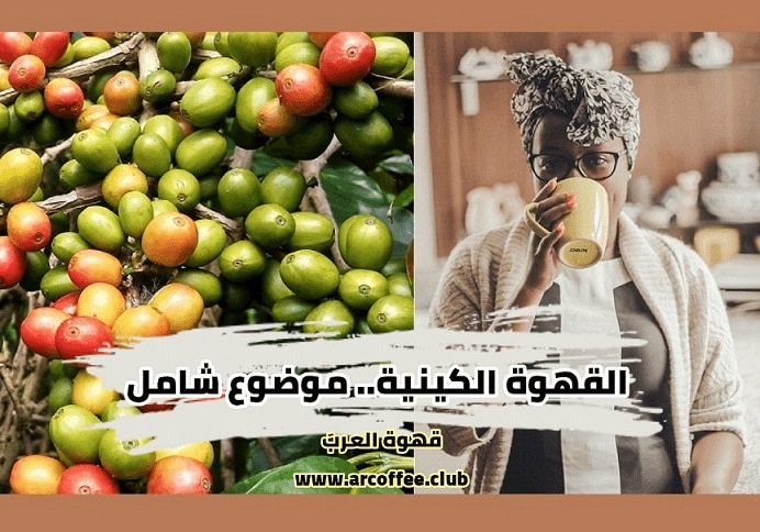 القهوة الكينية